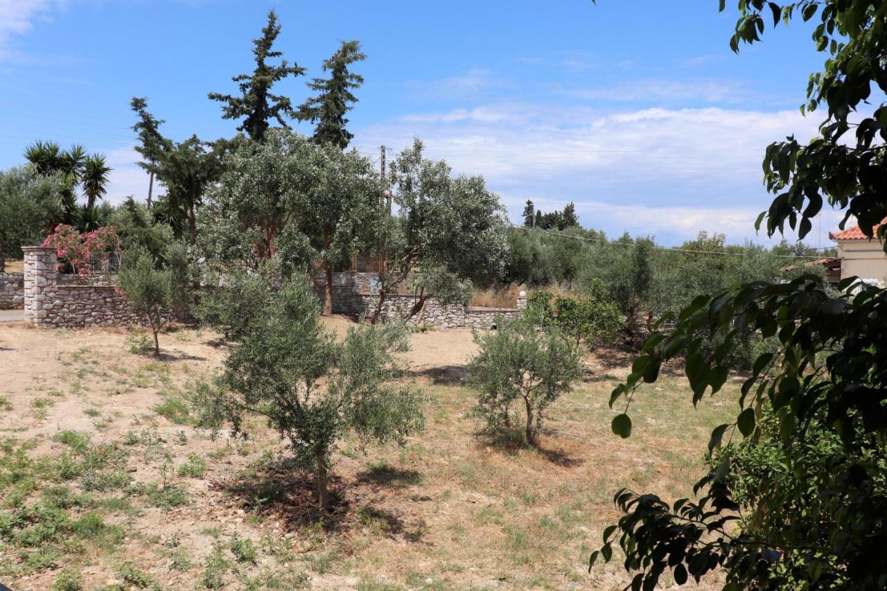 Appartamento Anastassia Og Koróni Esterno foto